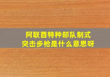 阿联酋特种部队制式突击步枪是什么意思呀