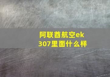 阿联酋航空ek307里面什么样