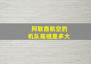 阿联酋航空的机队规模是多大