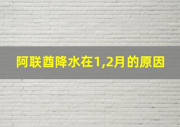 阿联酋降水在1,2月的原因