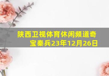 陕西卫视体育休闲频道奇宝秦兵23年12月26日