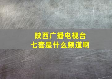 陕西广播电视台七套是什么频道啊