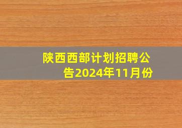 陕西西部计划招聘公告2024年11月份