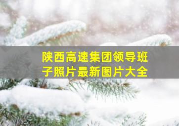 陕西高速集团领导班子照片最新图片大全