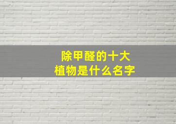 除甲醛的十大植物是什么名字