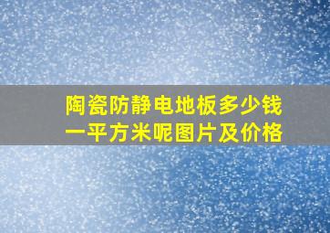 陶瓷防静电地板多少钱一平方米呢图片及价格