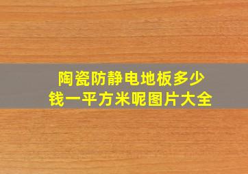 陶瓷防静电地板多少钱一平方米呢图片大全