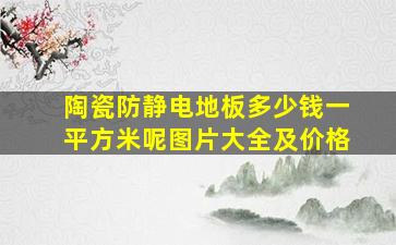 陶瓷防静电地板多少钱一平方米呢图片大全及价格