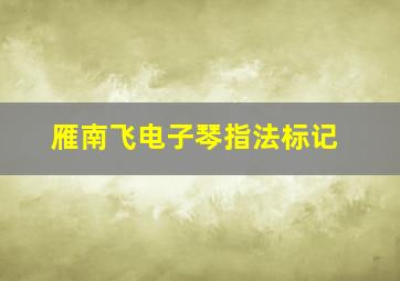 雁南飞电子琴指法标记