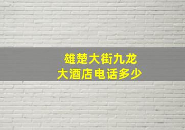 雄楚大街九龙大酒店电话多少