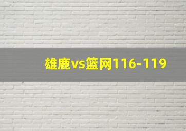 雄鹿vs篮网116-119