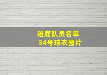 雄鹿队员名单34号球衣图片