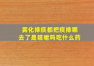 雾化排痰都把痰排哪去了是咳嗽吗吃什么药