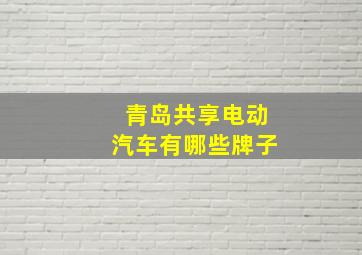 青岛共享电动汽车有哪些牌子