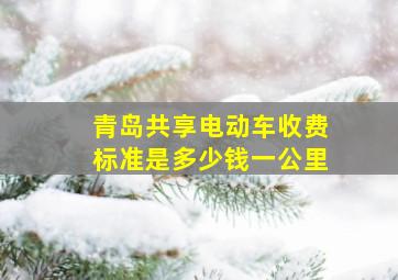 青岛共享电动车收费标准是多少钱一公里