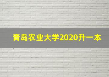 青岛农业大学2020升一本