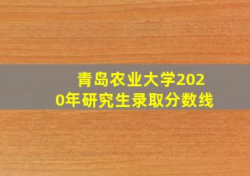 青岛农业大学2020年研究生录取分数线