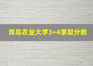 青岛农业大学3+4录取分数