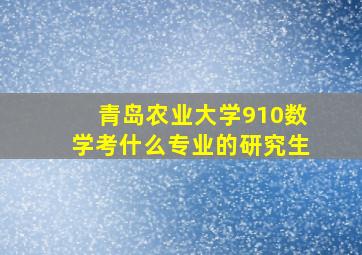 青岛农业大学910数学考什么专业的研究生