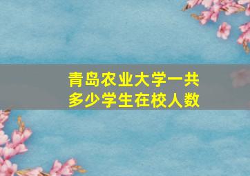 青岛农业大学一共多少学生在校人数