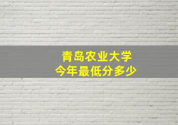 青岛农业大学今年最低分多少