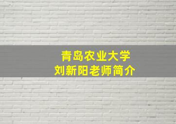 青岛农业大学刘新阳老师简介