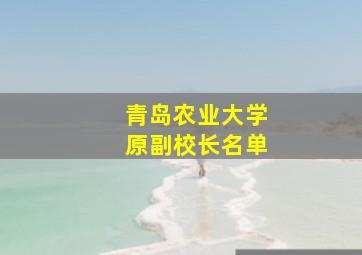 青岛农业大学原副校长名单