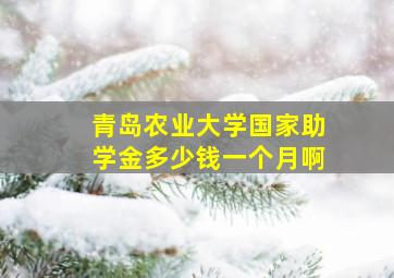 青岛农业大学国家助学金多少钱一个月啊