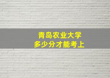 青岛农业大学多少分才能考上