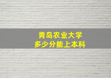 青岛农业大学多少分能上本科