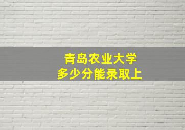 青岛农业大学多少分能录取上