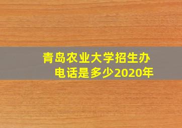 青岛农业大学招生办电话是多少2020年