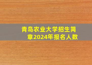 青岛农业大学招生简章2024年报名人数