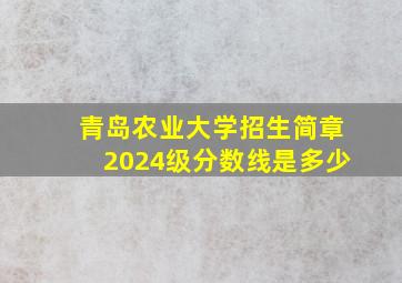 青岛农业大学招生简章2024级分数线是多少