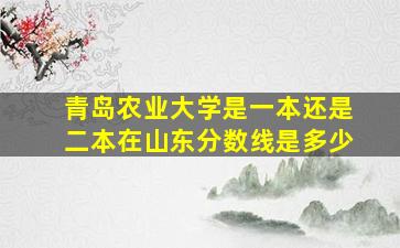 青岛农业大学是一本还是二本在山东分数线是多少