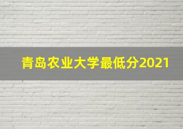 青岛农业大学最低分2021