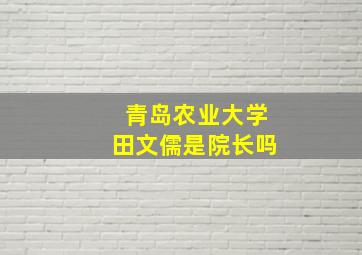 青岛农业大学田文儒是院长吗