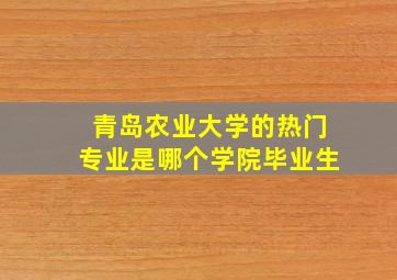 青岛农业大学的热门专业是哪个学院毕业生