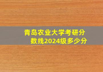 青岛农业大学考研分数线2024级多少分