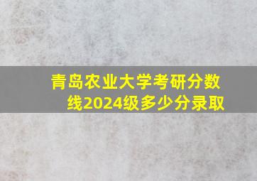 青岛农业大学考研分数线2024级多少分录取