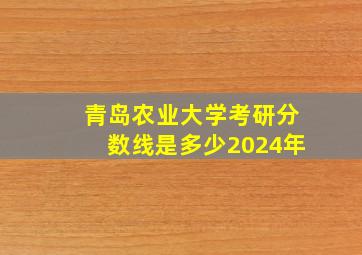 青岛农业大学考研分数线是多少2024年