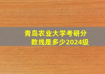 青岛农业大学考研分数线是多少2024级