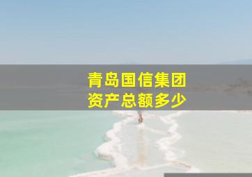 青岛国信集团资产总额多少