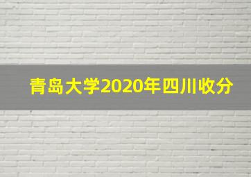 青岛大学2020年四川收分