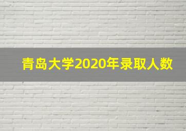 青岛大学2020年录取人数