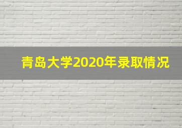 青岛大学2020年录取情况