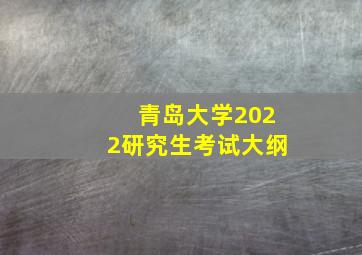 青岛大学2022研究生考试大纲