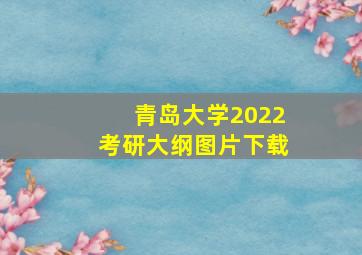 青岛大学2022考研大纲图片下载