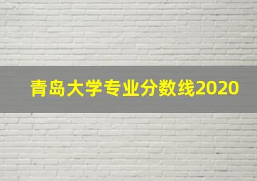 青岛大学专业分数线2020