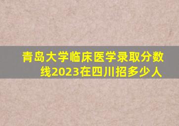 青岛大学临床医学录取分数线2023在四川招多少人